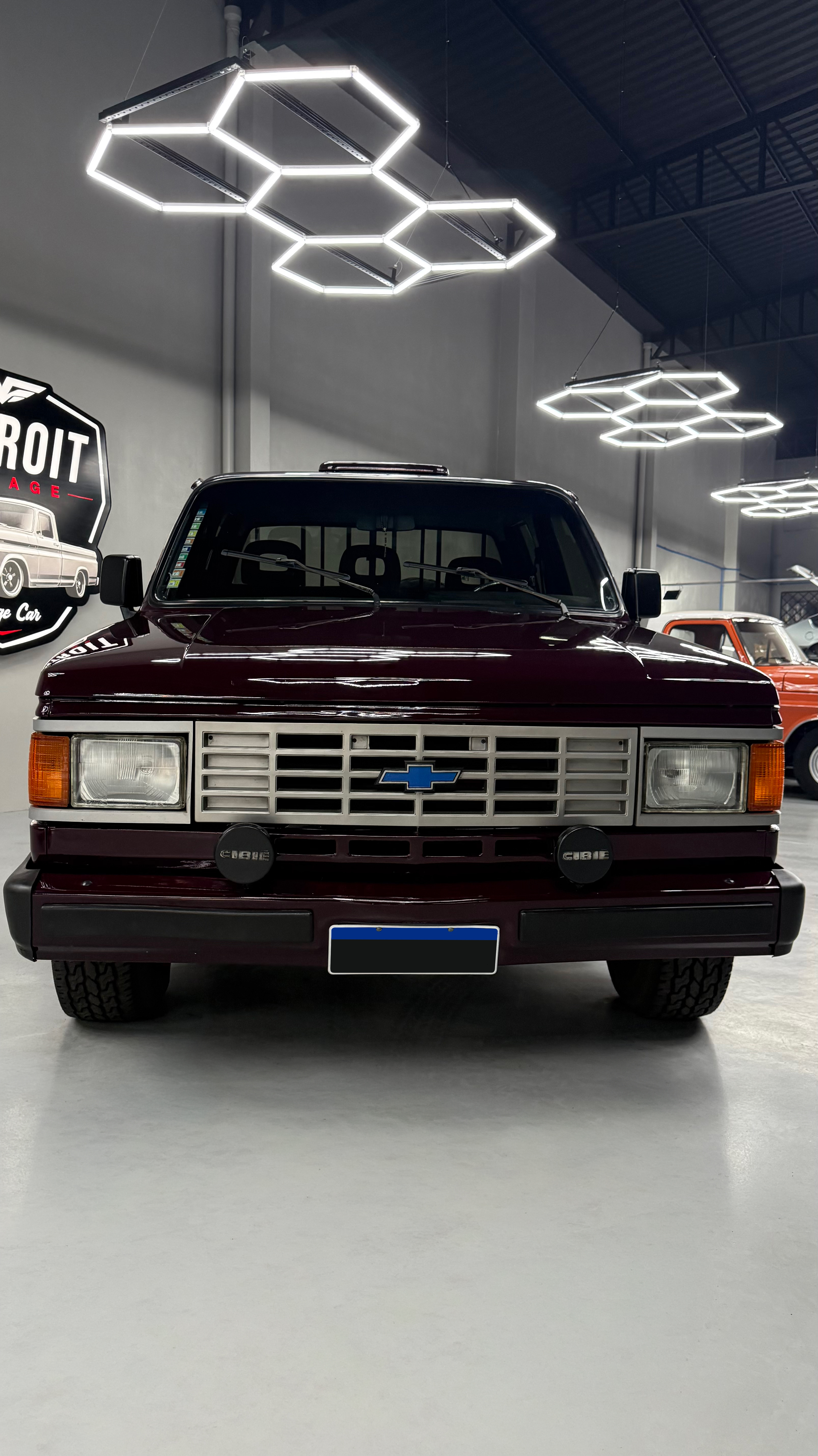 Chevrolet D20 Deluxe 1992 — foto 3