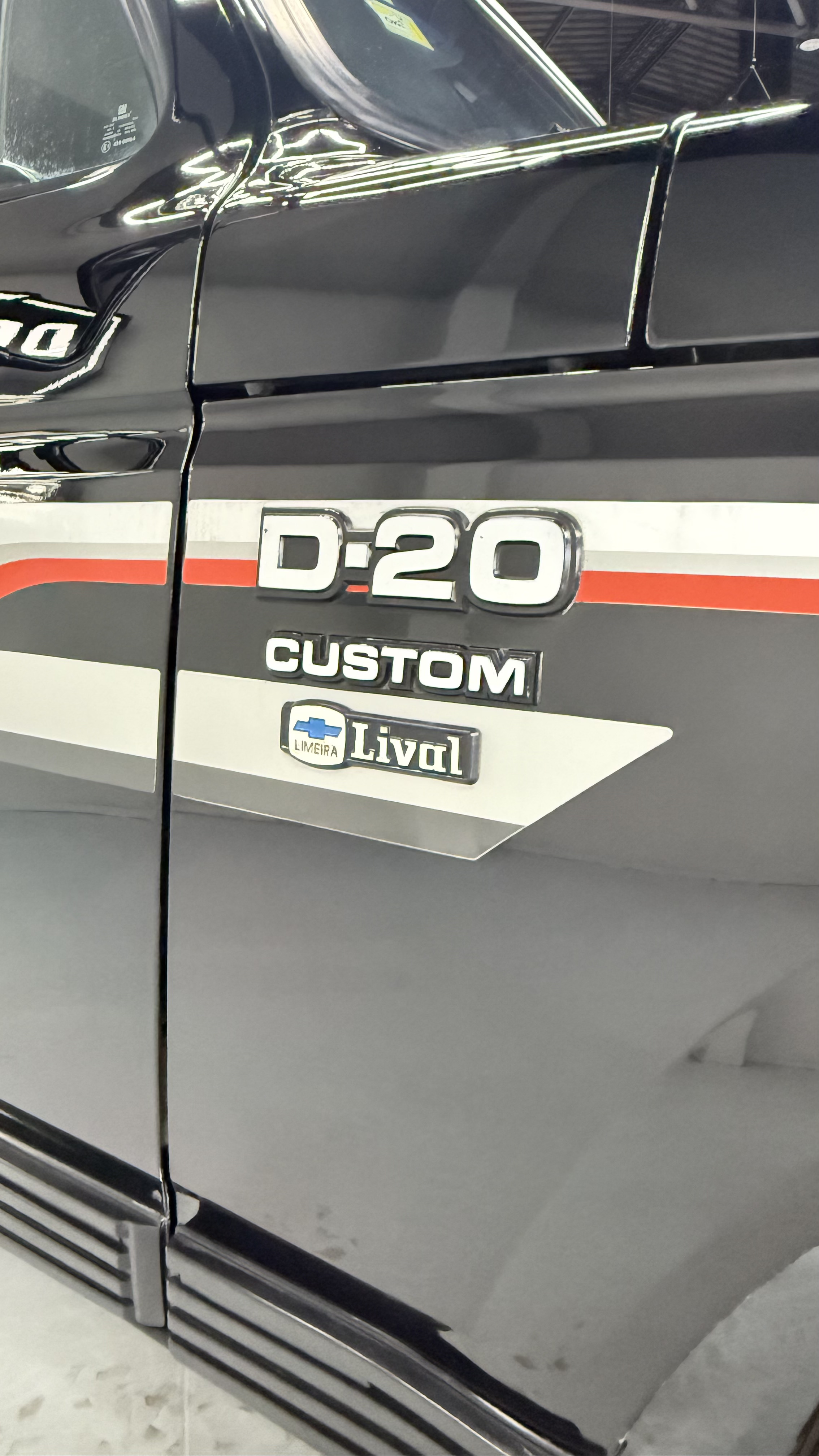 Chevrolet D20 Deluxe 1990 — foto 6